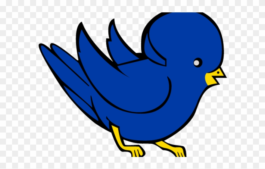 Mandarin Duck Clipart Princess - Duck - Png Download