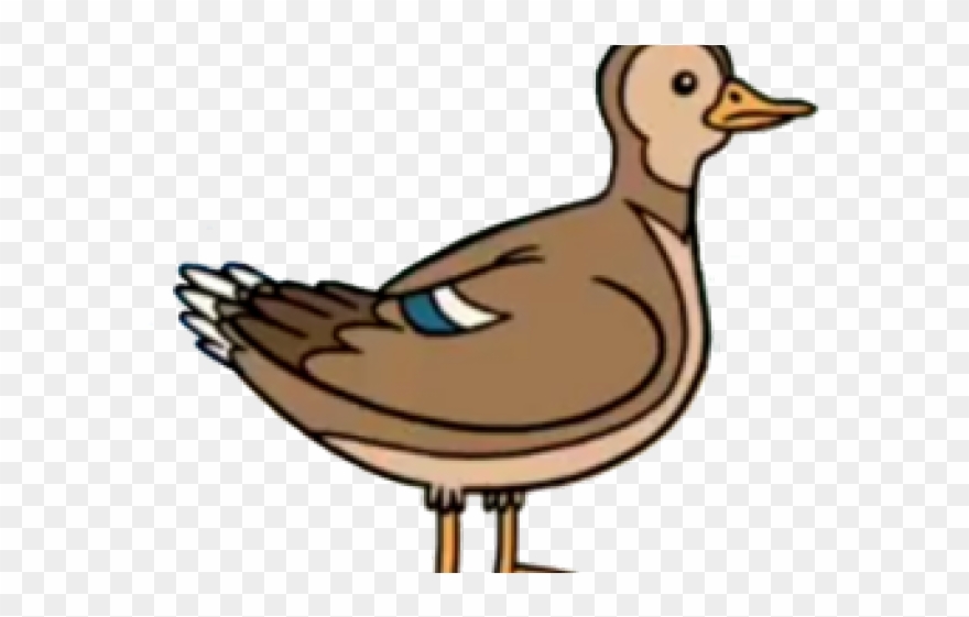 Mallard Clipart Mother Duck - Duck - Png Download