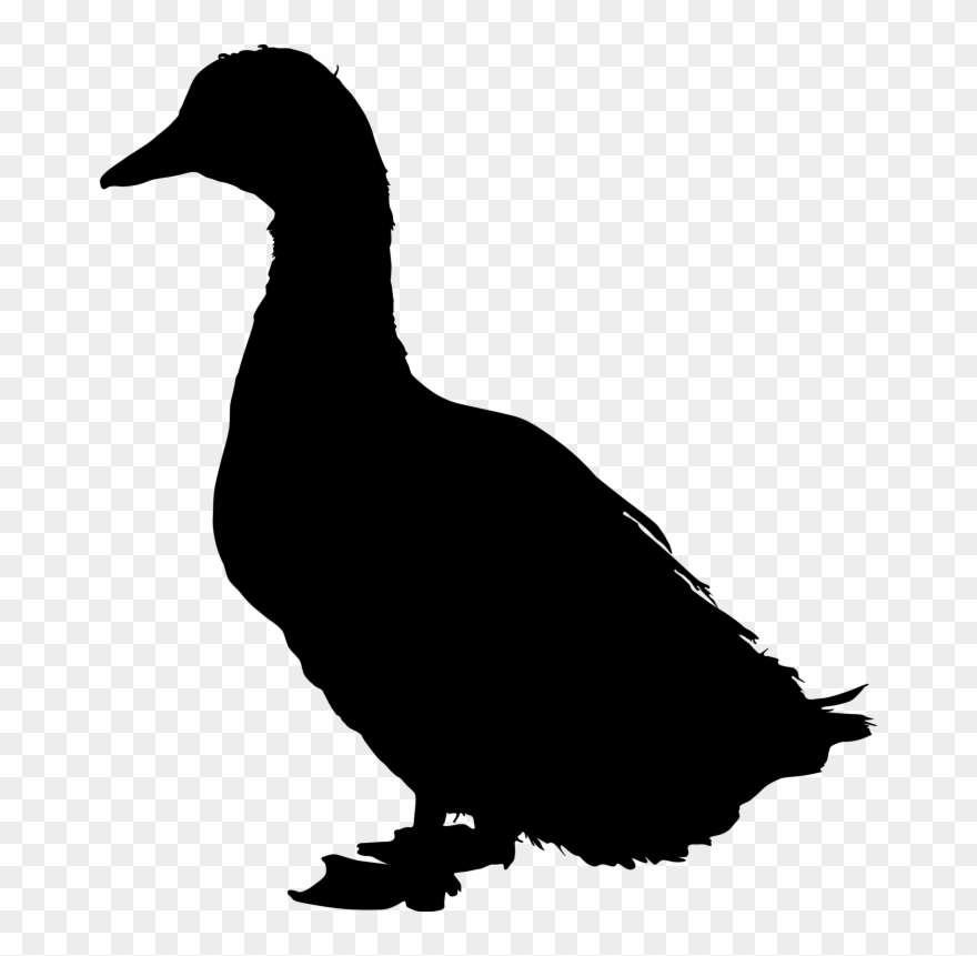 Duck Silhouette Png - Duck Svg Clipart