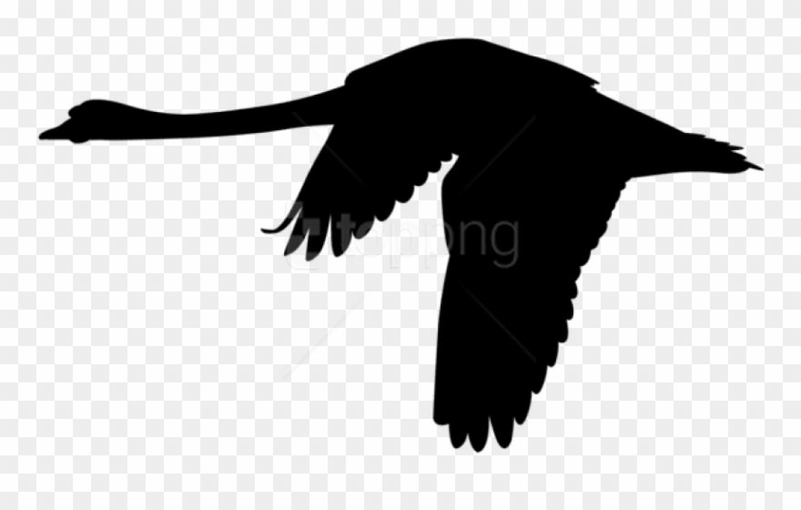 Free Png Flying Swan Silhouette Png Png - Black Swan Flying Art Clipart
