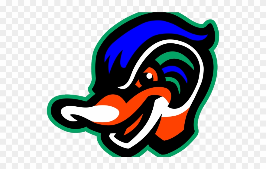 Wood Duck Clipart Drake - Down East Wood Ducks Logo - Png Download