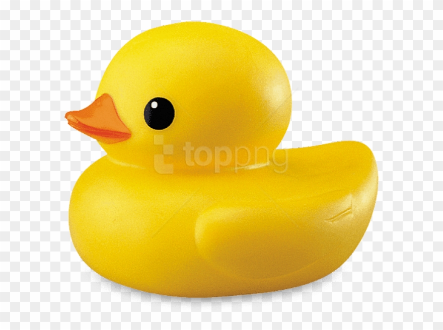 Free Png Download Plastic Duck Png Images Background - Transparent Background Duck Png Clipart