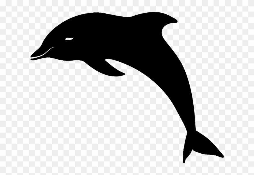 #mq #black #dolphin #silhouette #animal - Common Bottlenose Dolphin Clipart