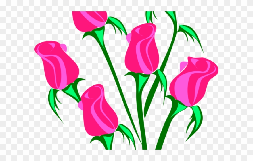 Blue Rose Clipart Pink - Roses Clip Art - Png Download