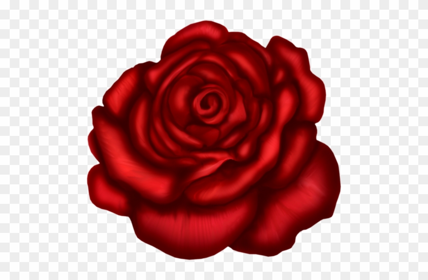 Red Rose Art Clipart
