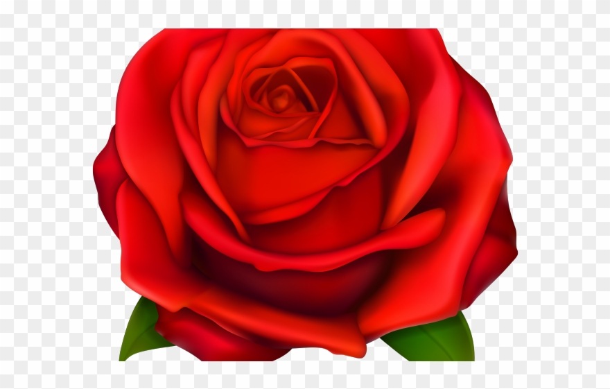 Rose Bush Clipart Transparent - Uae Mother's Day 2018 - Png Download