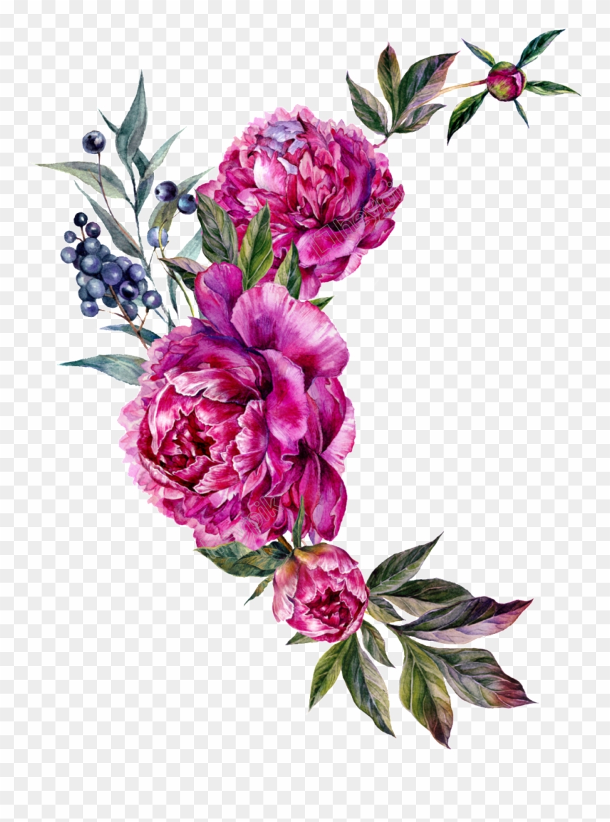 Floral Vector Peony - Bouquet Clipart