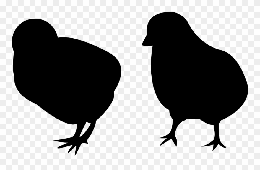 Download Png - Chicken Clipart