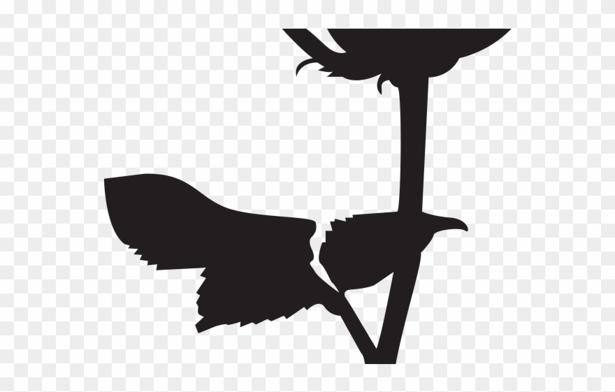 Bush Clipart Silhouette - Flower Beauty And The Beast Silhouette - Png Download