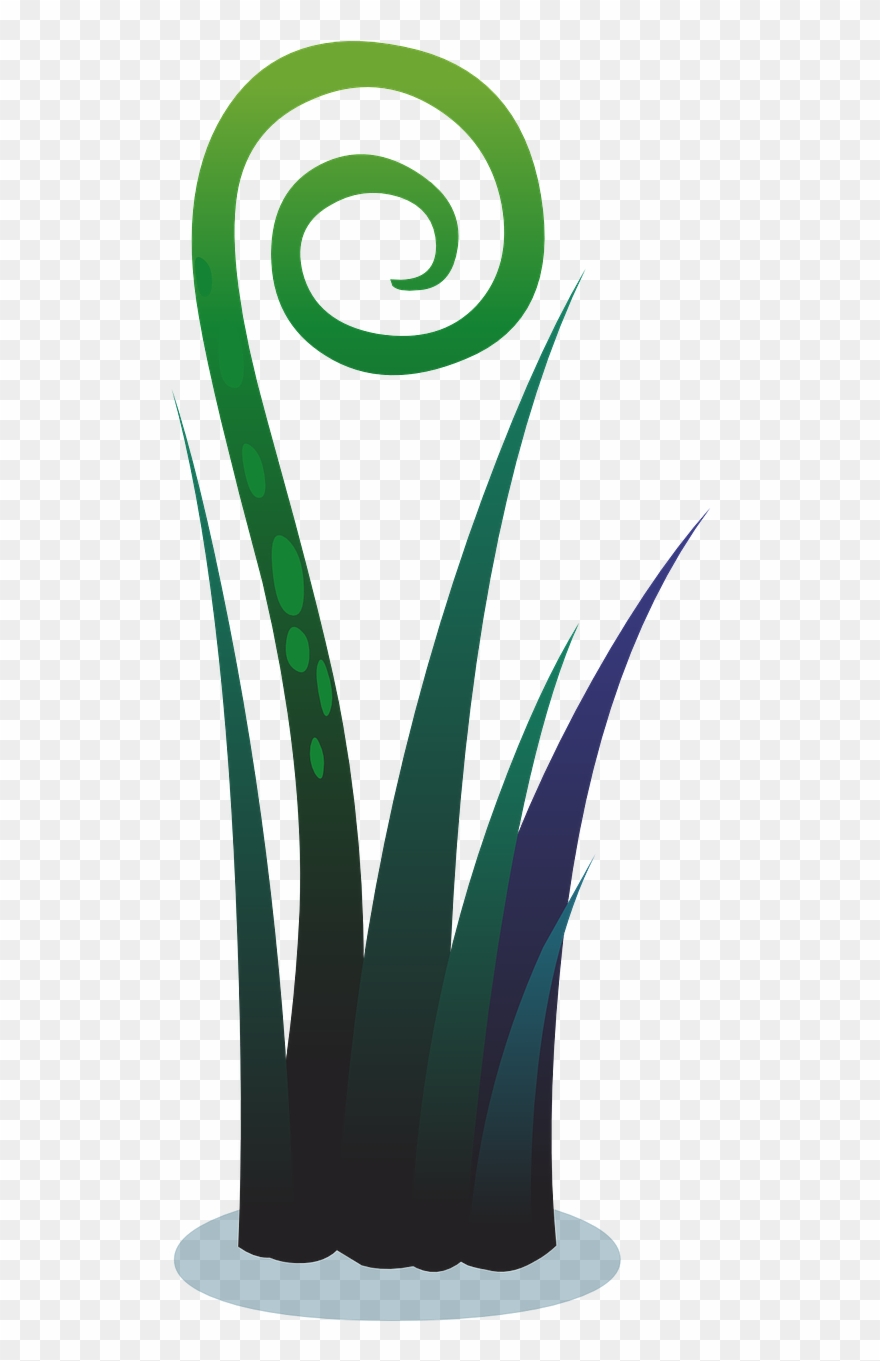 Plant Water Nature - Clip Art - Png Download