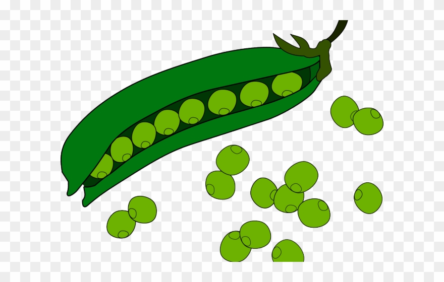 Original - Transparent Green Beans Clipart - Png Download
