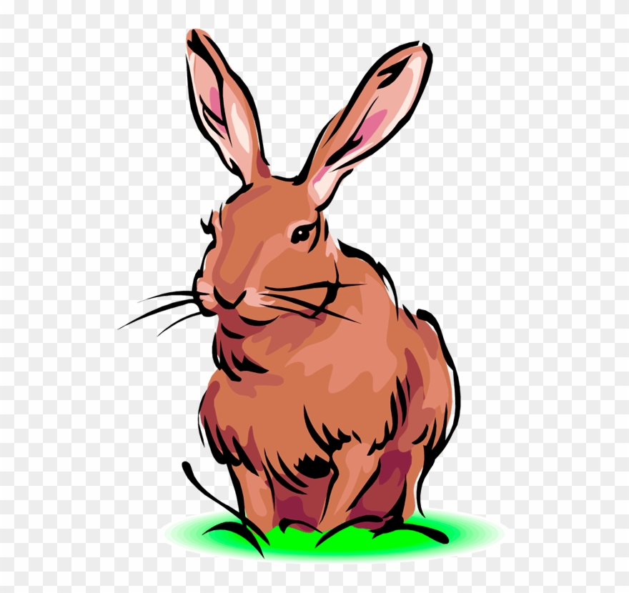 Definition Of Hare Clipart