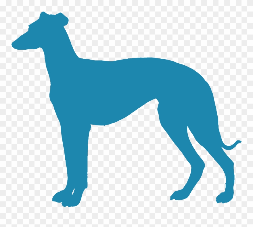 Cogshall - Transparent Italian Greyhound Silhouette Clipart