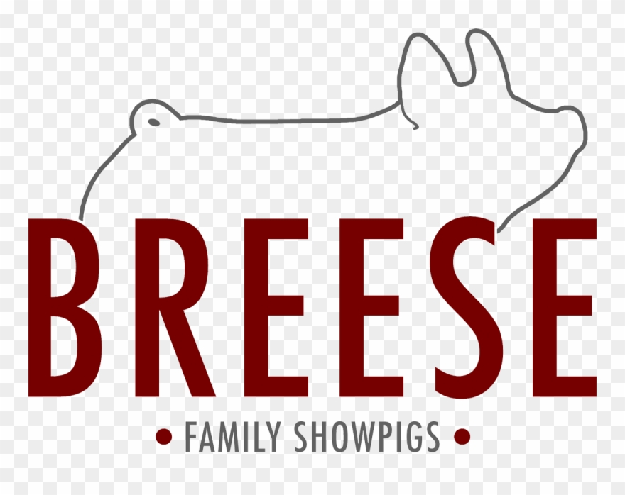 Breese Family Showpigs - Cat Clipart