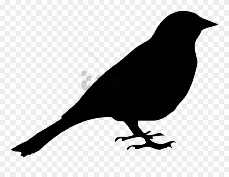 Free Png Silhouette Of Pigeon Png Image With Transparent Clipart
