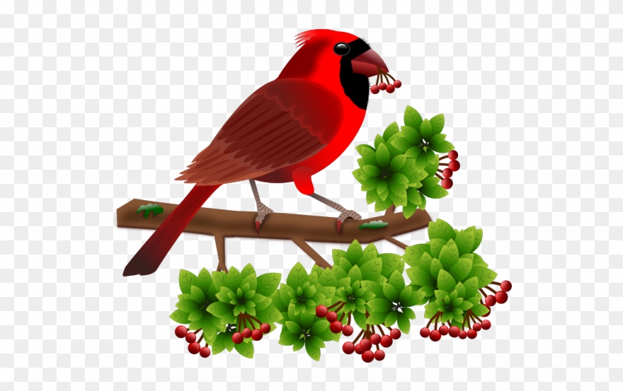 624 X 624 1 - Gambar Bergerak Burung Png Clipart