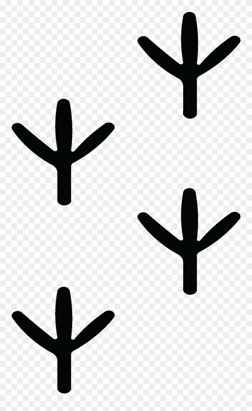 Bird Footprint X1 Clipart