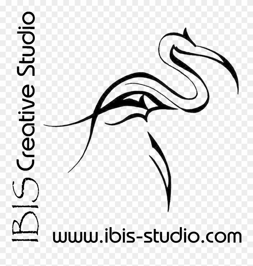 1250 X 1250 6 - Seabird Clipart