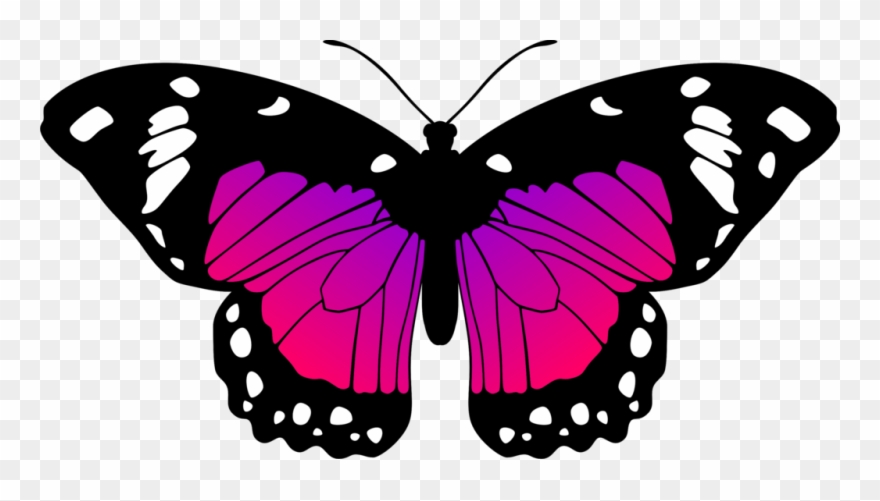 Butterflies Transparent Pink Purple - Pink And Purple Butterfly Clipart