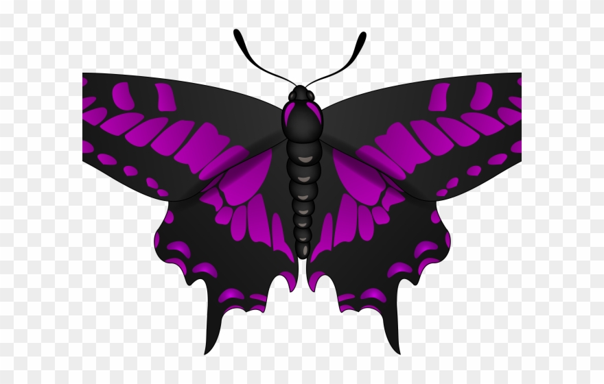 Egg Clipart Butterfly - Portable Network Graphics - Png Download