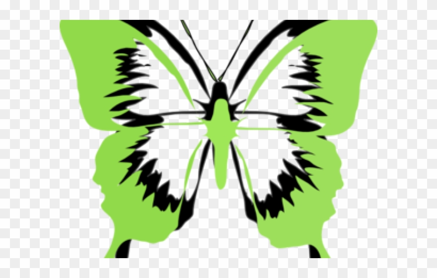 Rainbow Butterfly Clipart Green Butterfly - Mariposas En Blanco Y Negro - Png Download
