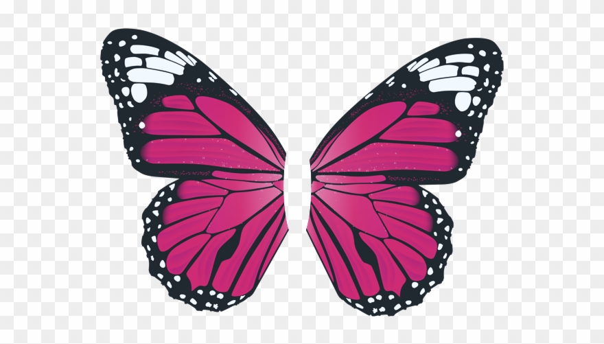 Clip Art Pink Butterfly - Png Download