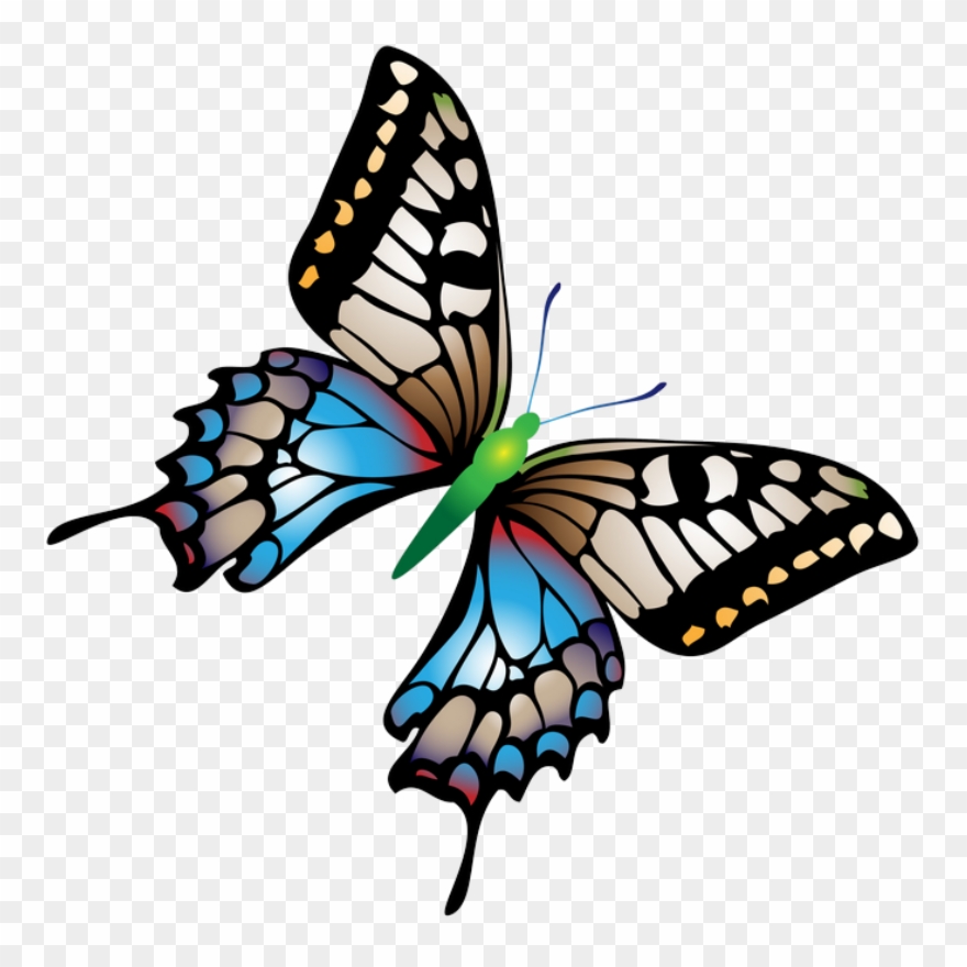 Яндекс - Фотки - Sun Race Sturmey-archer Inc. Clipart