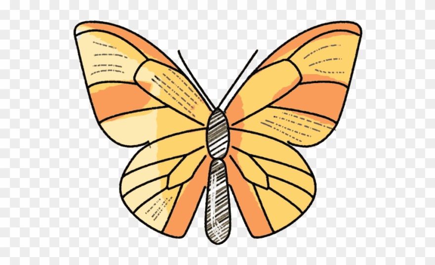 Schmetterling Butterfly Schulranzen Motiv - Large Copper Clipart