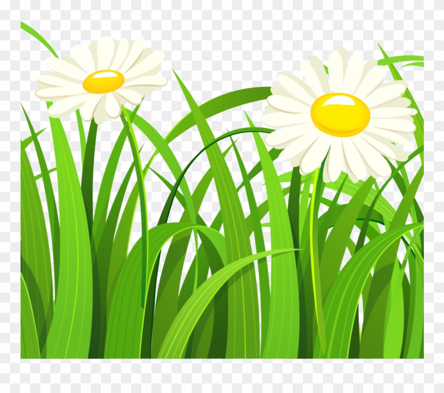 Transparent Grass Vector Png Clipart