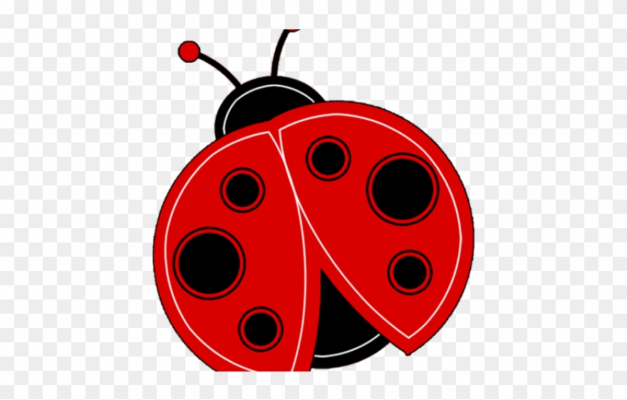 Ladybug Clipart High Resolution - Baby Lady Bug Clip Art - Png Download