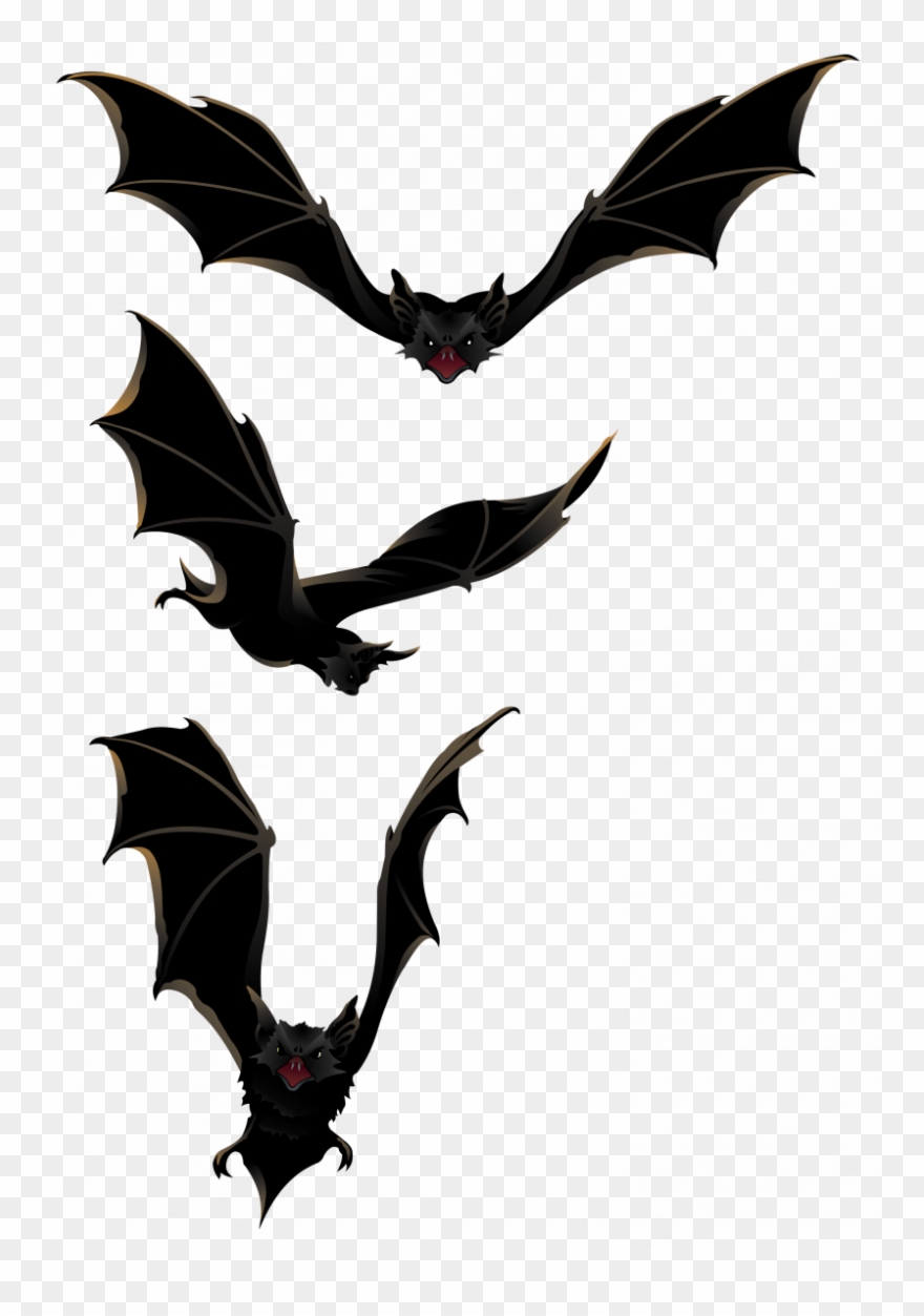 Halloween Bats Clipart Png Transparent Png