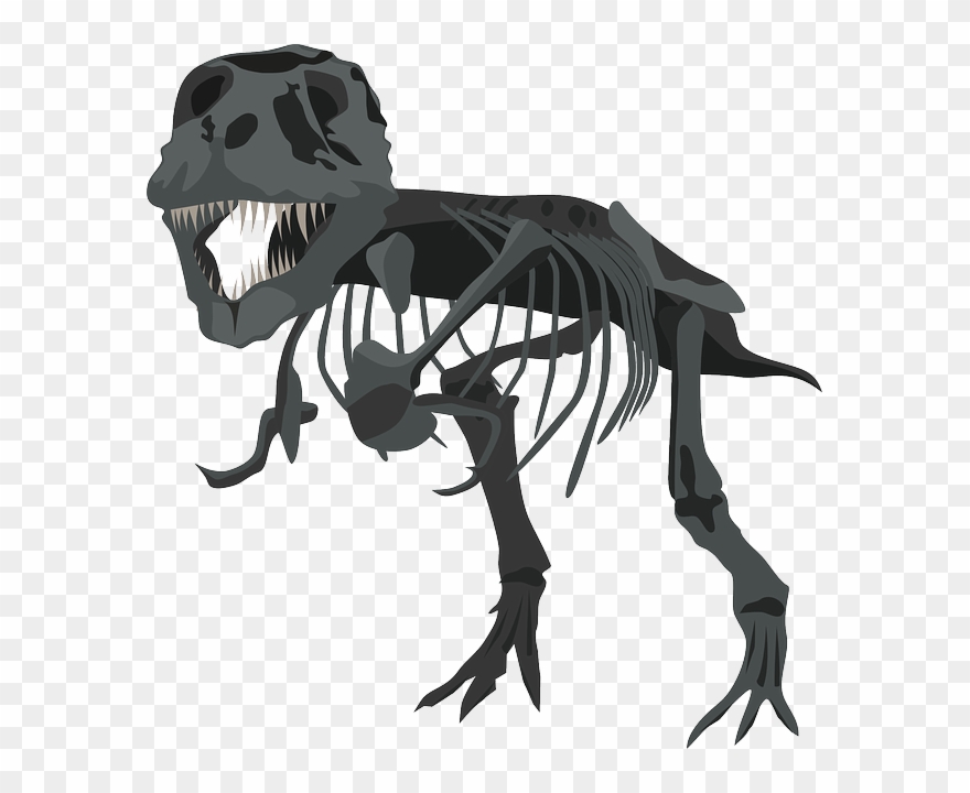 Tyrannosaurus Carnivore Pencil And In Color - T Rex Skeleton Png Clipart