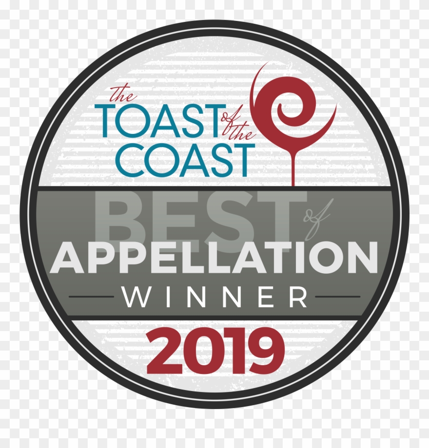 Vector Eps, Transparent Png, Jpg - Circle Clipart