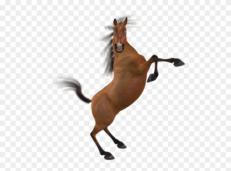Funny Horse Png Clipart