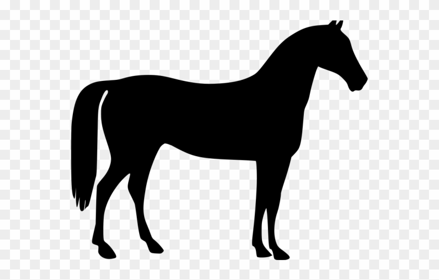 Mare Clipart Horse Barn - Free Horse Silhouette - Png Download