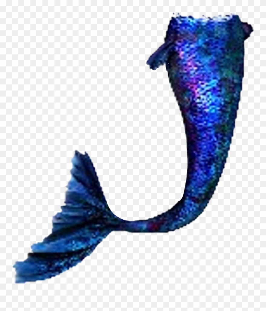 #blue #mermaid #mermaidtail - Transparent Mermaid Tails Clipart