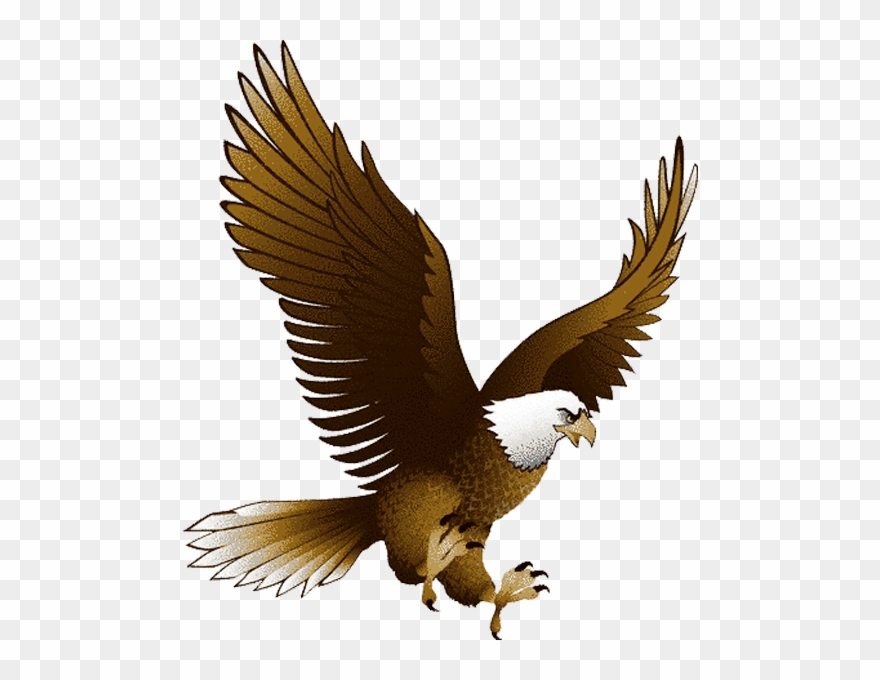 Eagle Clipart Png - Eagle Png Transparent Png