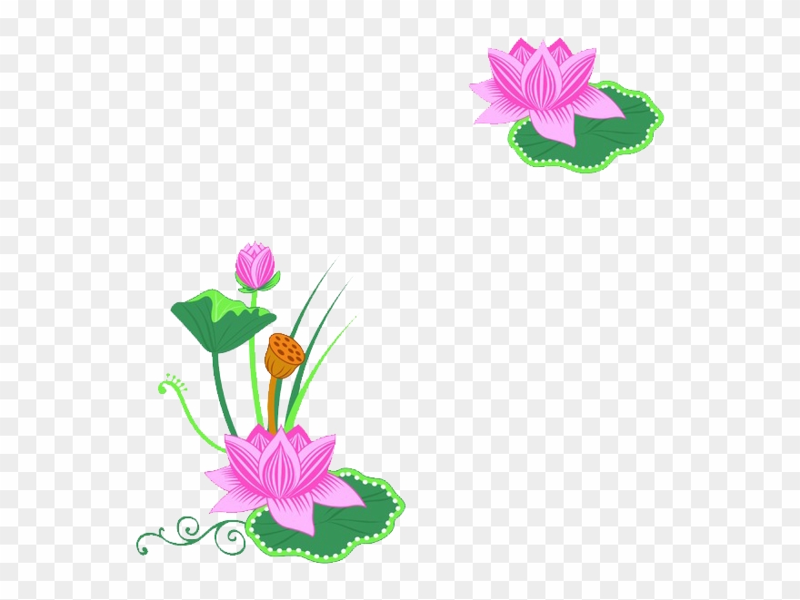 Nelumbo Nucifera Clip Art - Hinh Nen May Tinh Dep - Png Download