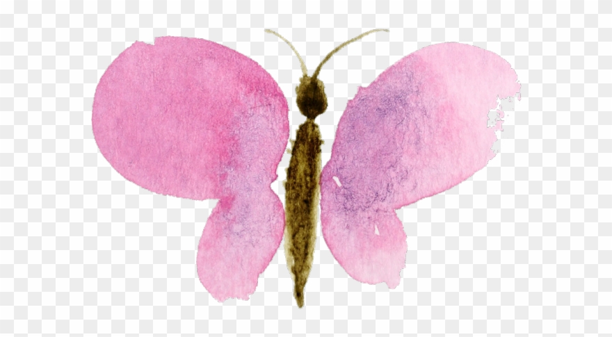 Watercolor Clipart Transparent Background - Watercolor Clipart No Background - Png Download