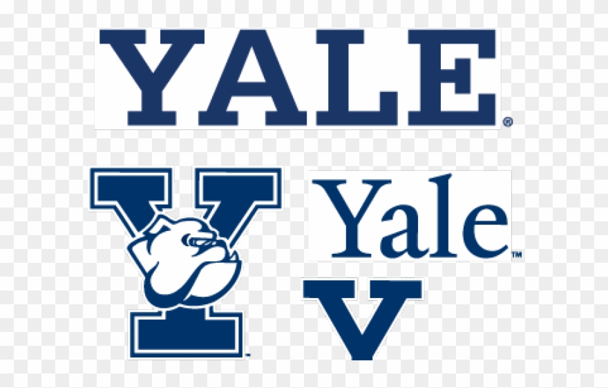 Bulldog Clipart Yale - Yale University - Png Download