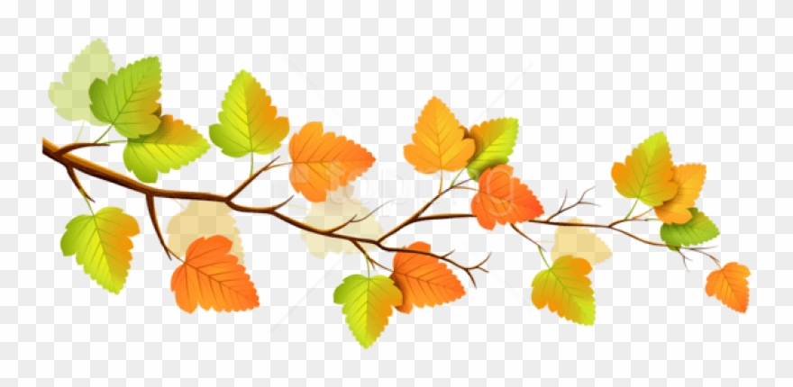 Free Png Download Autumn Png Images Background Png - Branch Fall Leaves Clip Art Transparent Png