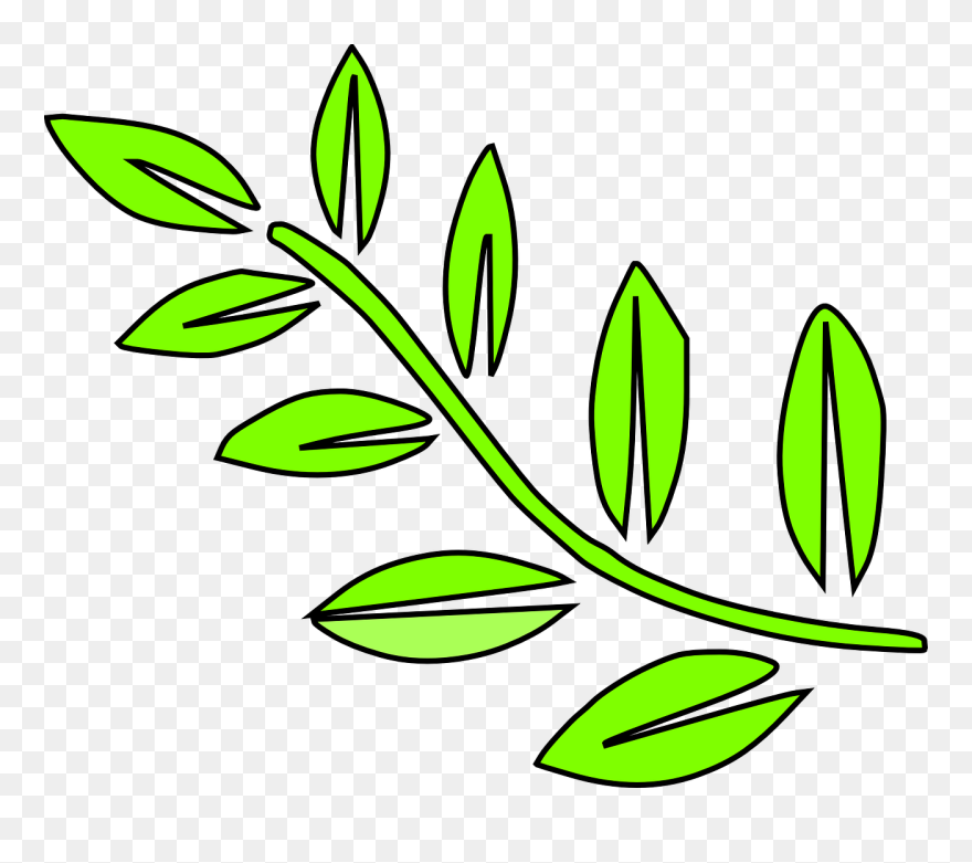 Yaprak Dal Bitki Doğa Yeşil Mevsimlik - Tallo De Hojas Dibujo Clipart