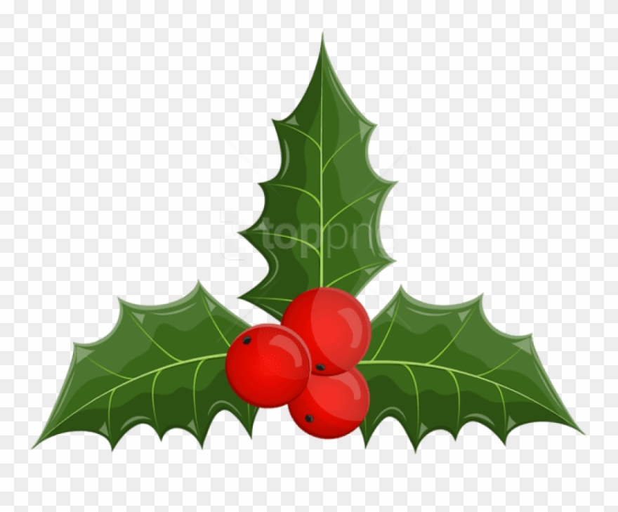 Free Png Christmas Holly Mistletoe Png - Clip Art Transparent Png