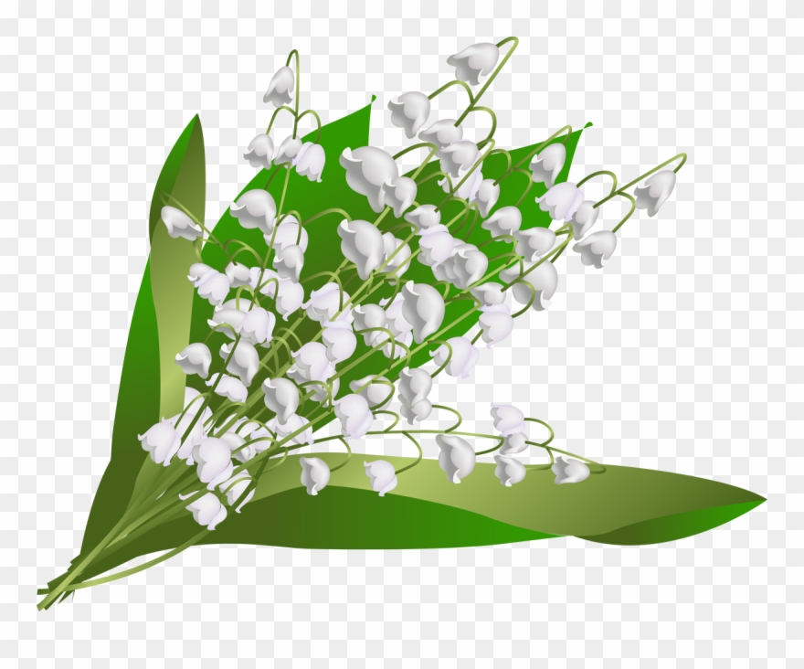 Скрапы Автора Rdh - Lily Of The Valley Clipart