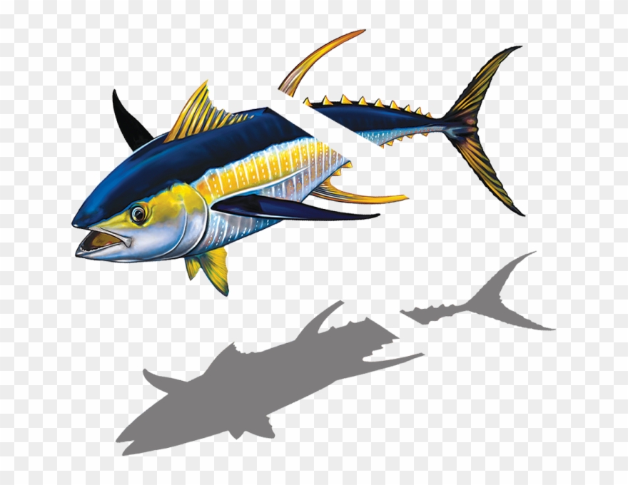 681 X 600 1 0 - Billfish Clipart
