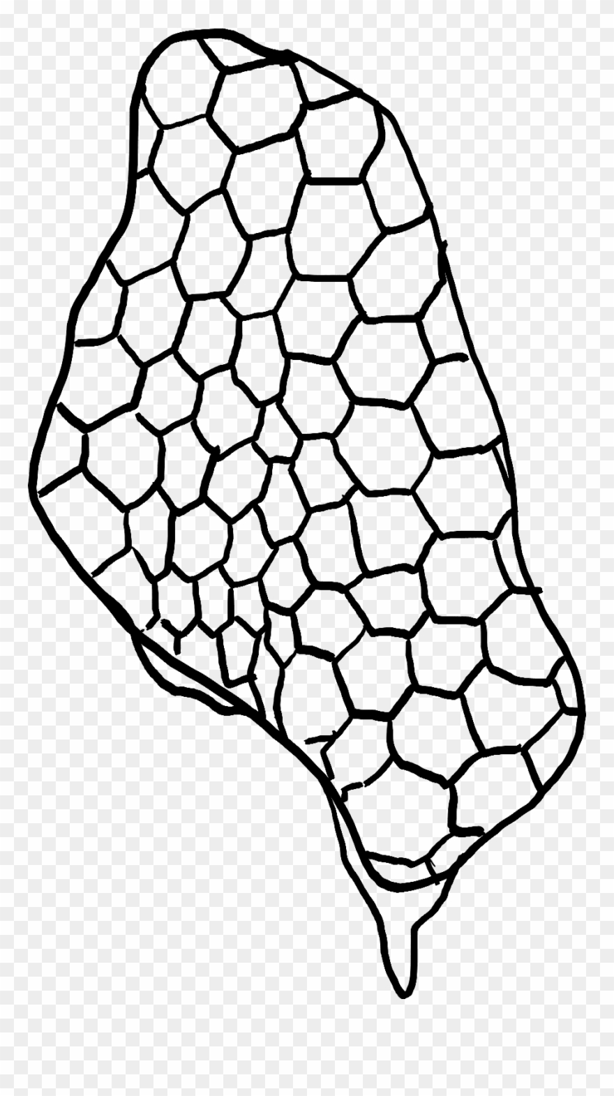 Save To Collection - Line Art Clipart