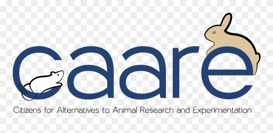 Contact Quincy Bioscience To Stop Testing On Animals - Domestic Rabbit Clipart