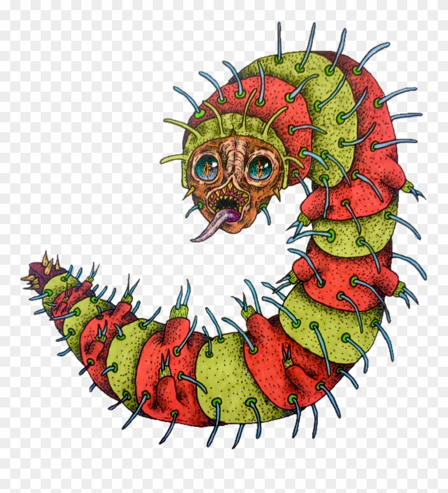 Image Of Prong Worm Of Peru - Illustration Clipart