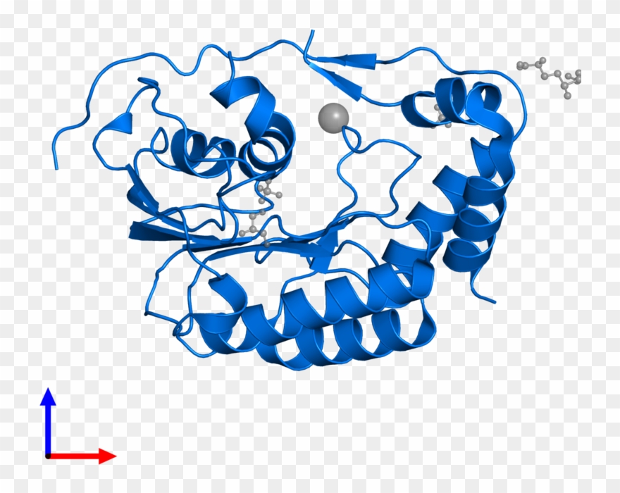 <div Class='caption-body'>pdb Entry 5m5b Contains 1 Clipart