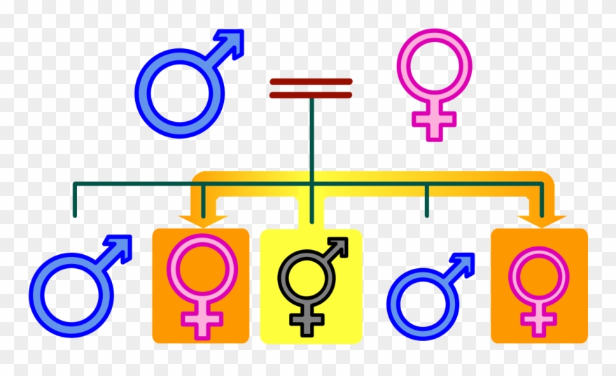 Nuclear Family Member Sister - Circle Clipart